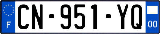 CN-951-YQ