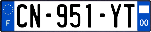 CN-951-YT