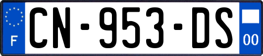 CN-953-DS