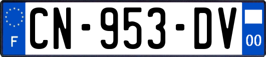 CN-953-DV