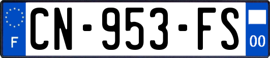 CN-953-FS