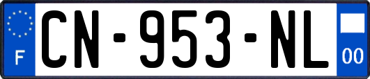 CN-953-NL