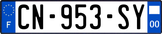 CN-953-SY