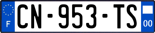 CN-953-TS