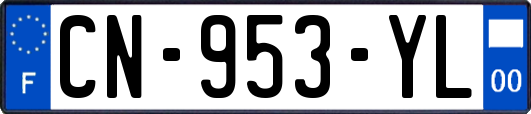 CN-953-YL