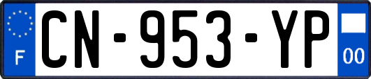 CN-953-YP