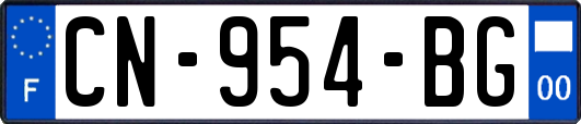 CN-954-BG