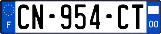 CN-954-CT