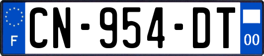 CN-954-DT