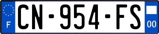 CN-954-FS