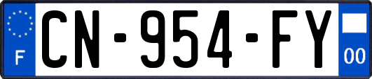 CN-954-FY