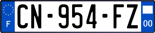CN-954-FZ