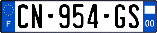 CN-954-GS
