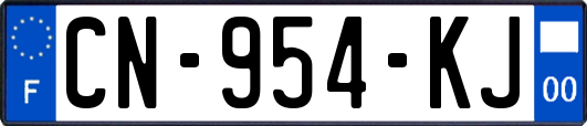 CN-954-KJ
