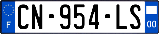 CN-954-LS