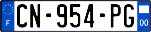 CN-954-PG