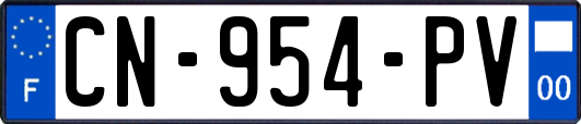 CN-954-PV