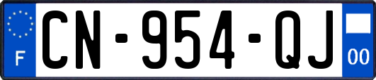 CN-954-QJ