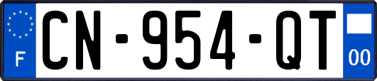 CN-954-QT