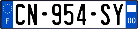 CN-954-SY