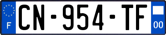 CN-954-TF