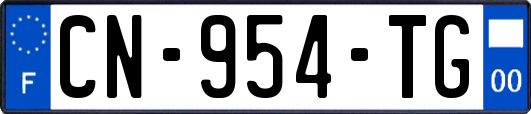 CN-954-TG