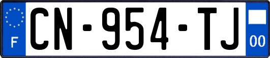 CN-954-TJ