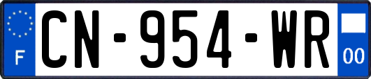 CN-954-WR