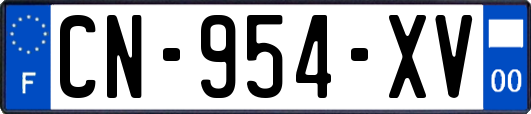 CN-954-XV