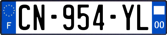 CN-954-YL