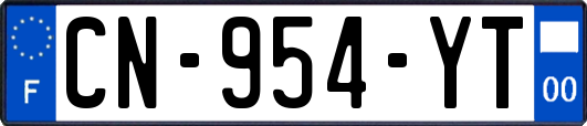 CN-954-YT
