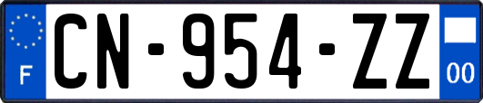 CN-954-ZZ