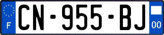 CN-955-BJ