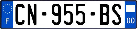 CN-955-BS