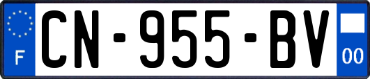 CN-955-BV