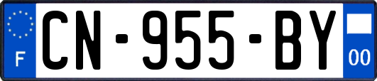 CN-955-BY