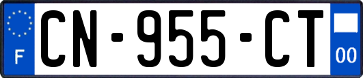 CN-955-CT