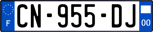 CN-955-DJ