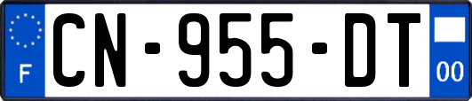 CN-955-DT
