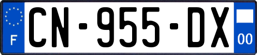 CN-955-DX