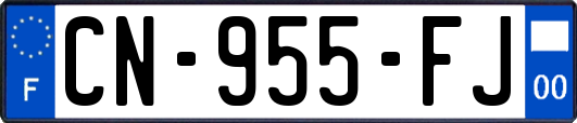 CN-955-FJ
