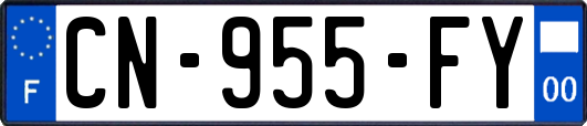 CN-955-FY