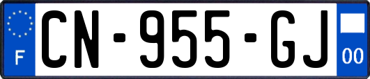 CN-955-GJ