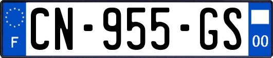 CN-955-GS