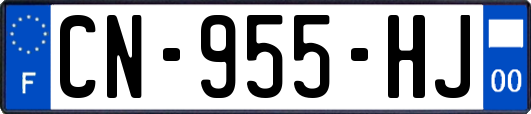 CN-955-HJ
