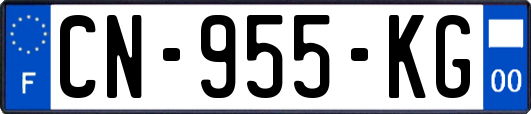 CN-955-KG
