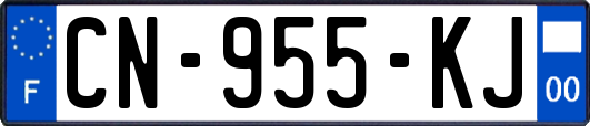 CN-955-KJ