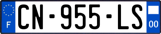 CN-955-LS