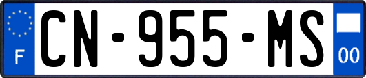 CN-955-MS