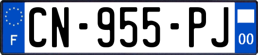 CN-955-PJ